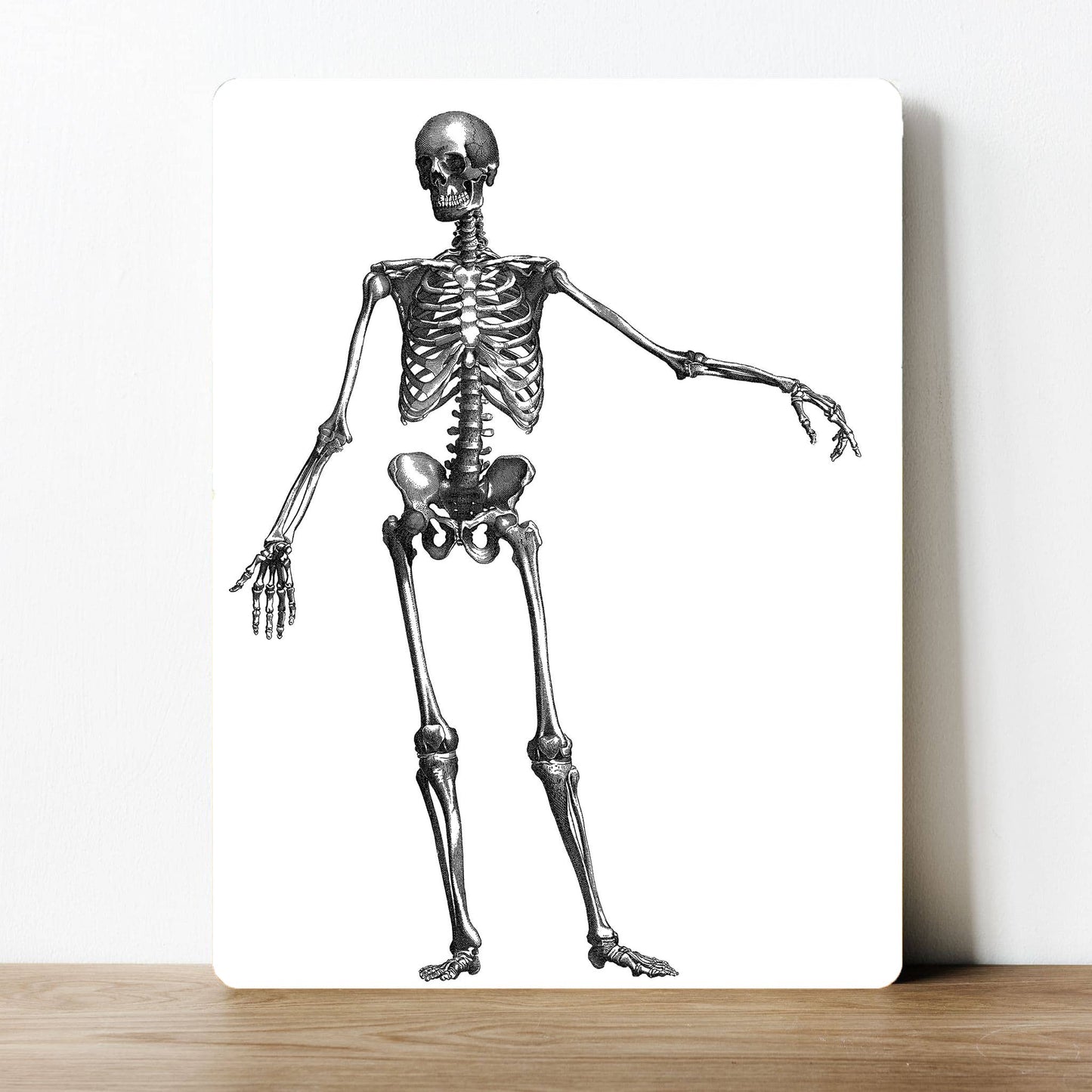Funny weird skeleton torso Halloween | Metal Sign Plaque