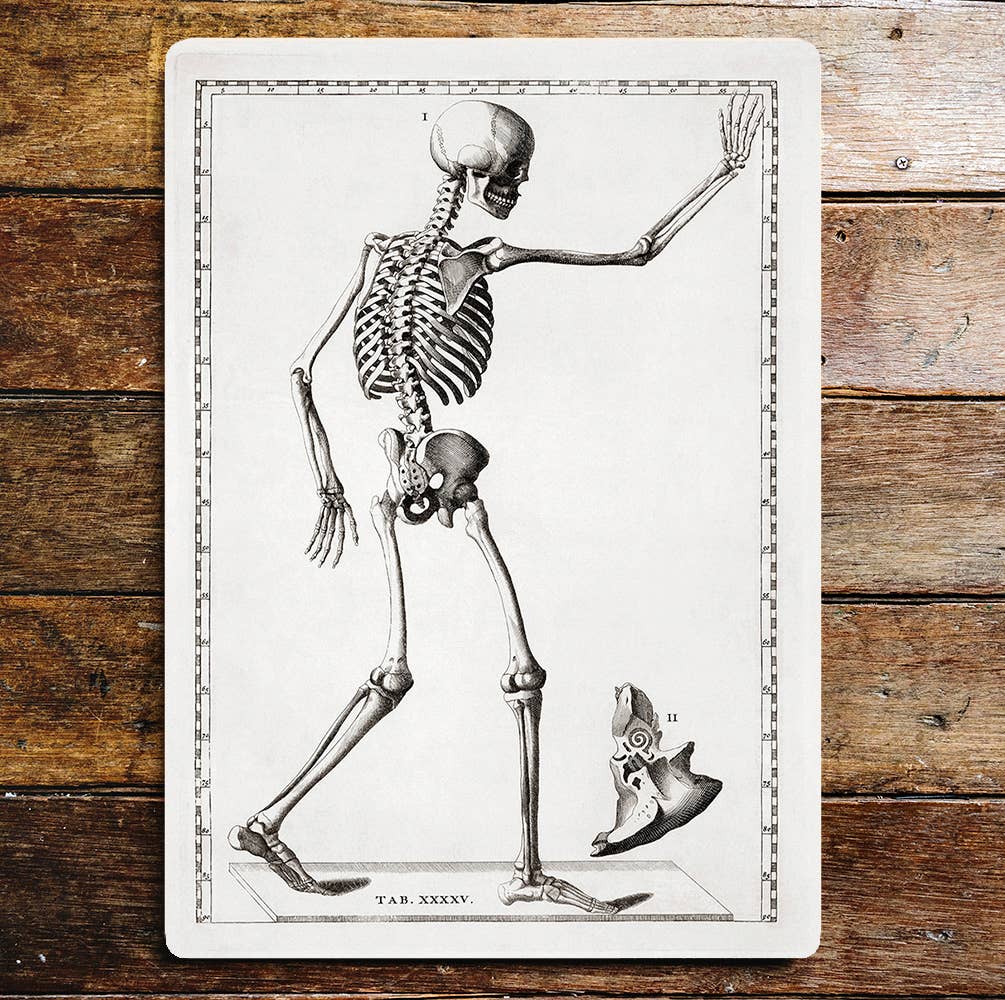 Skeleton Metal Wall Sign Plaque