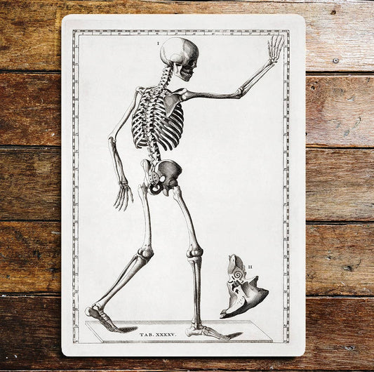 Skeleton Metal Wall Sign Plaque