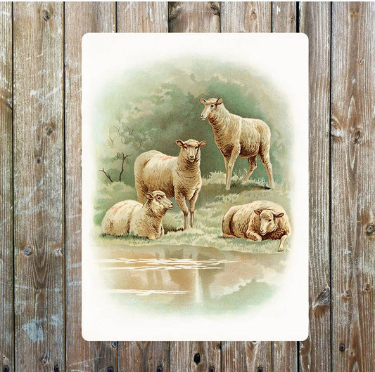 Vintage sheep farm art | Metal Wall Si