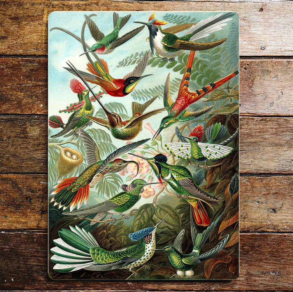 Colourful Bird Selection Tropical Plants | Metal Sign Plaque