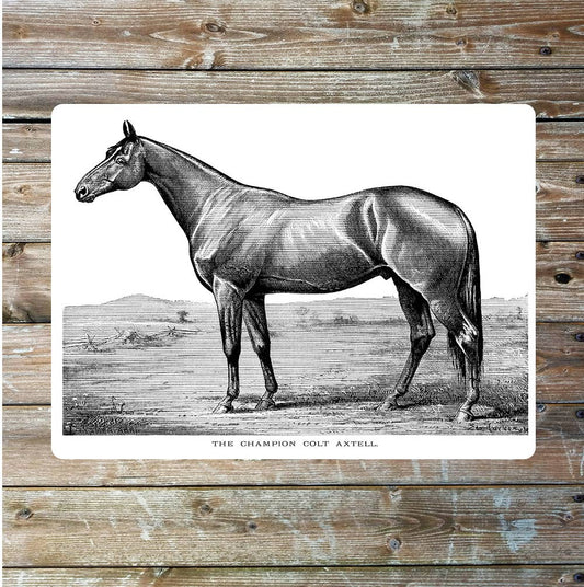Race horse hunter vintage art Metal Sign Plaque