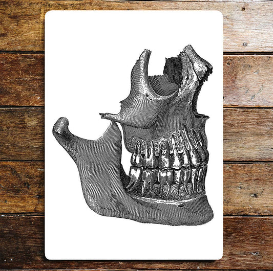 Skull Teeth Metal Wall Sign