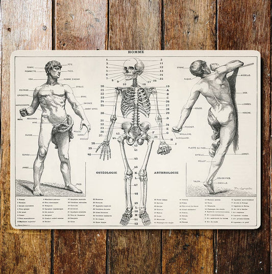 Skeleton And Man Information Metal Sign Plaque