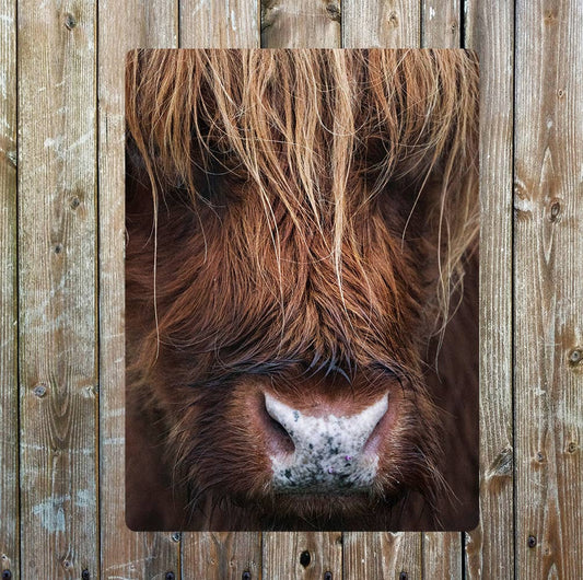 Highland Cow Close Up | Metal Wall Sign Plaque
