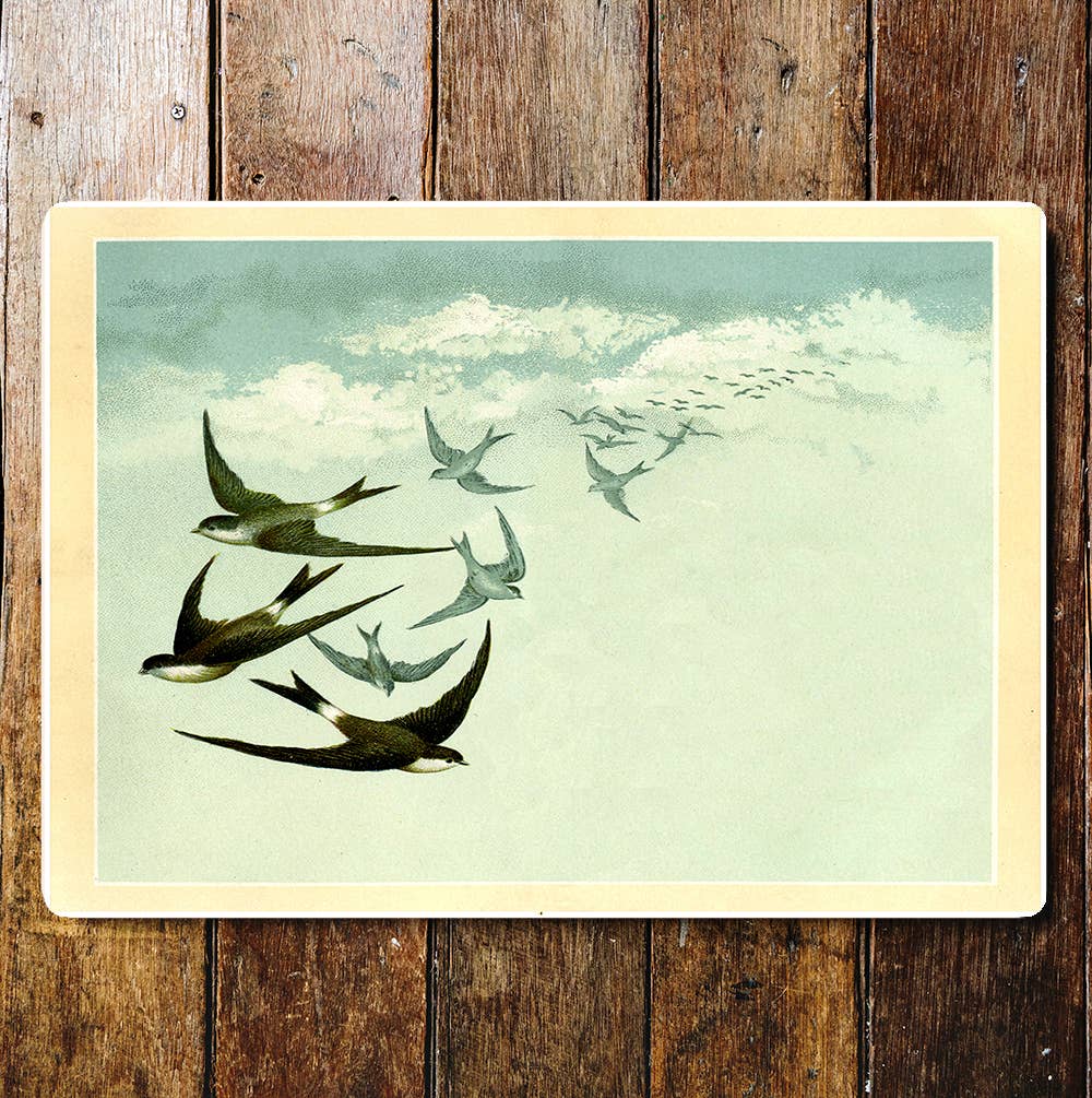 Swallows Birds Flying Sky Clouds Metal Sign Plaque