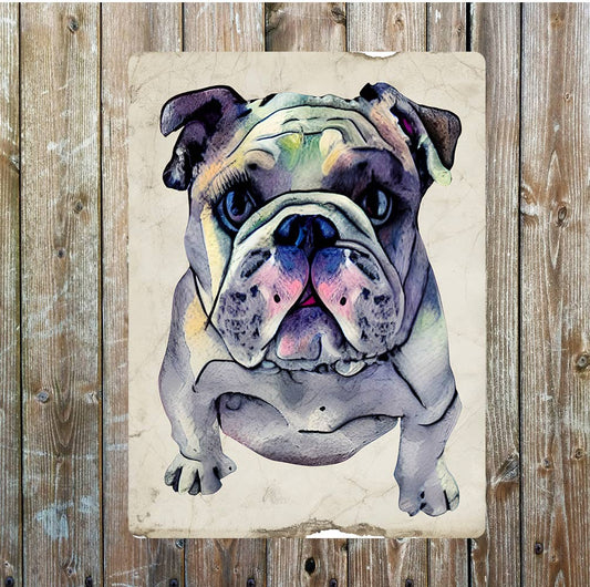 White British Bulldog Standing Portrait | Metal Sign Plaque