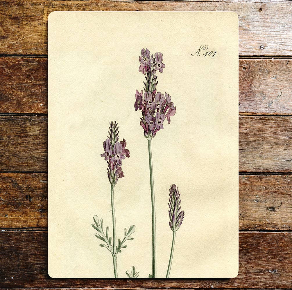 Purple Flower Stems Metal Wall Sign Plaque