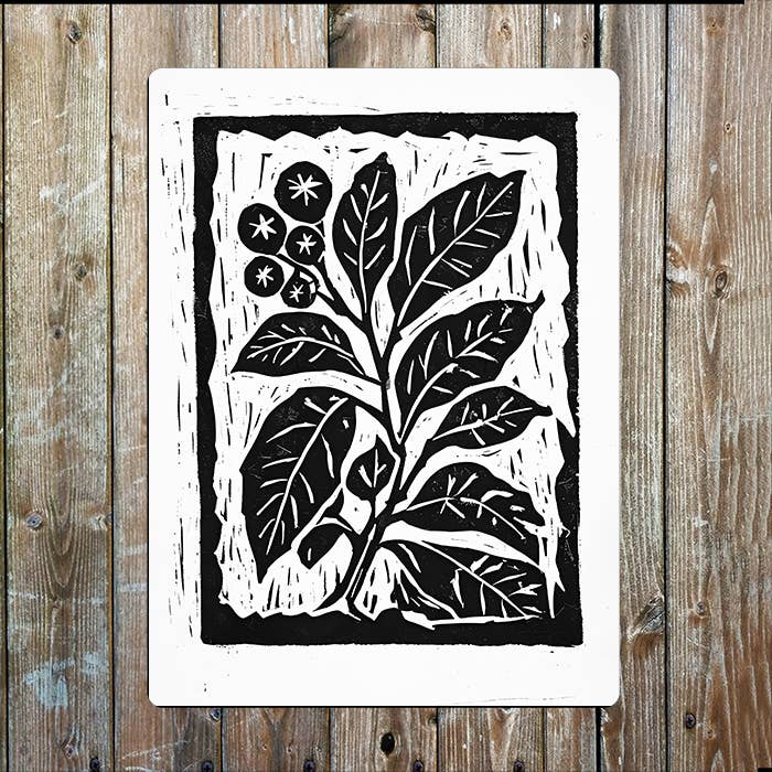 A Blueberry Plant Linocut Style | Metal Sign Plaque