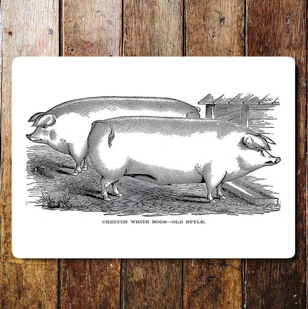 Chester White Hogs Old Style Pigsty | Metal Sign Plaque