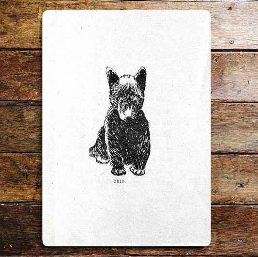 Cute Bear Cub Sitting Black And White | Metal Sign Plaque