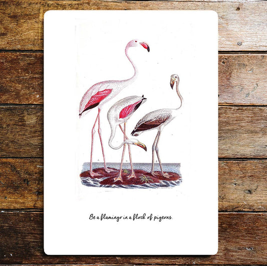 Be A Flamingo In A Flock Of Pigeons | Metal Wall Sign