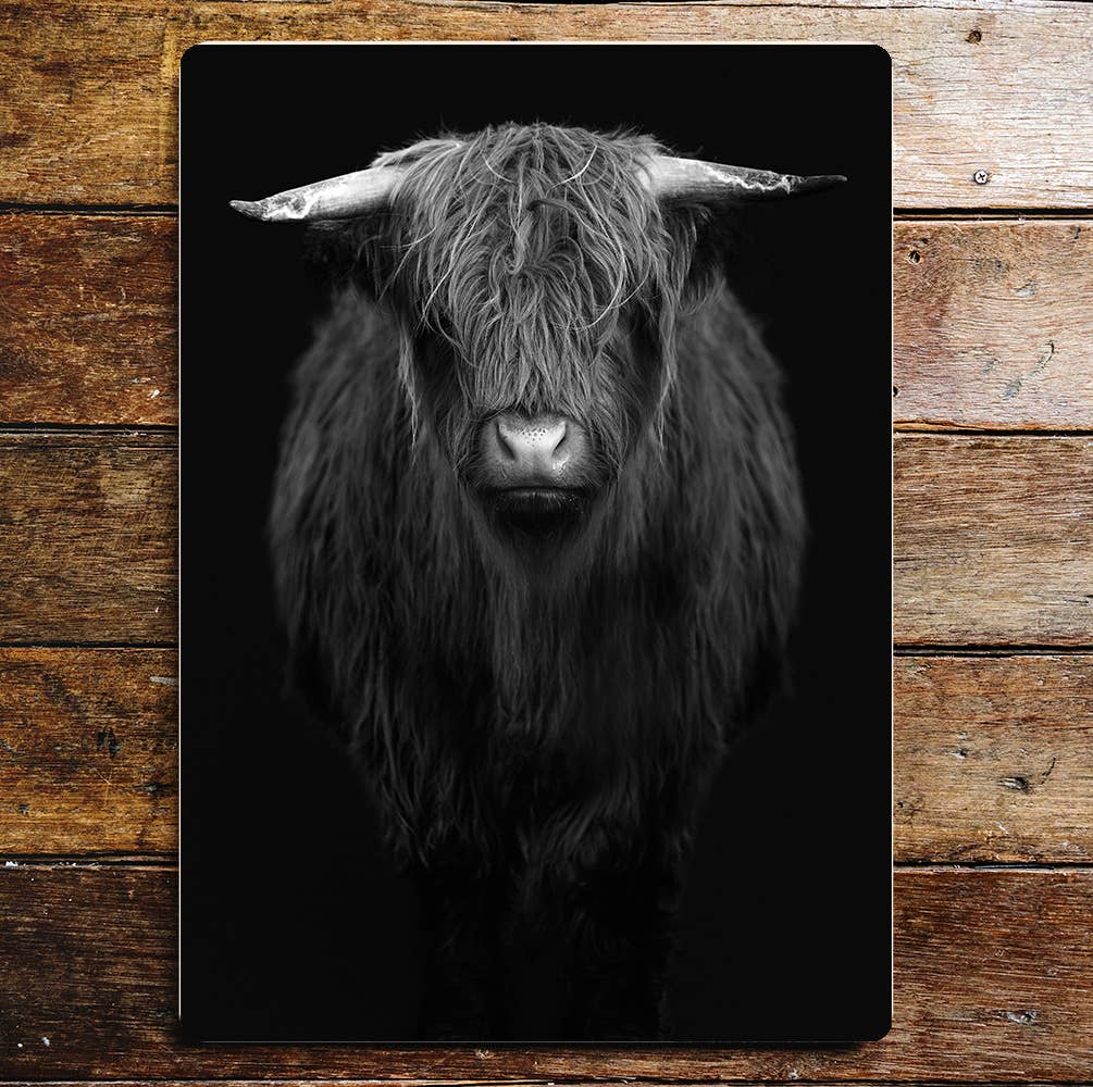 Highland cow black white | Metal Wall Sign Plaque
