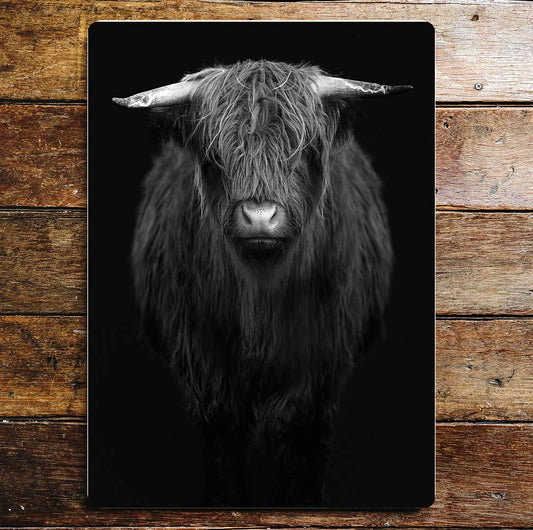 Highland cow black white | Metal Wall Sign Plaque