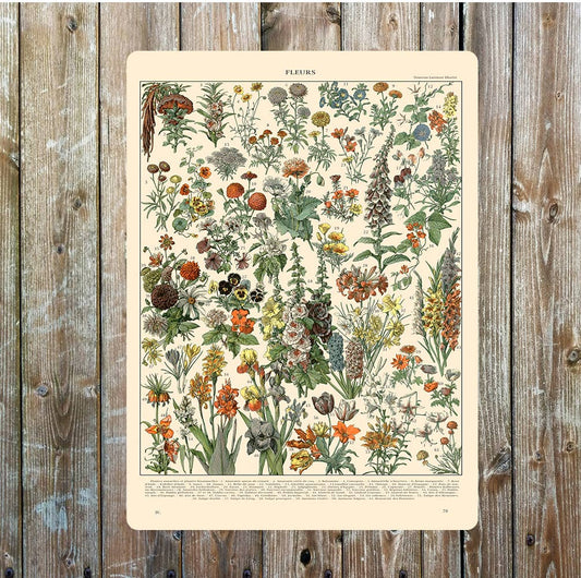 Selection Of Flowers Pattern Metal Sign Plaque