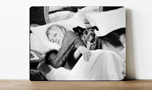 Bridget Bardot Movie Novices | Metal Sign Plaque