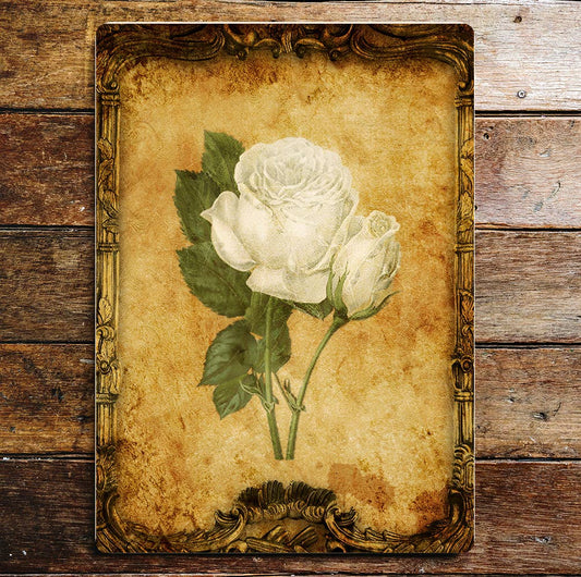 White Rose Stems Card Vintage  | Metal Sign Plaque