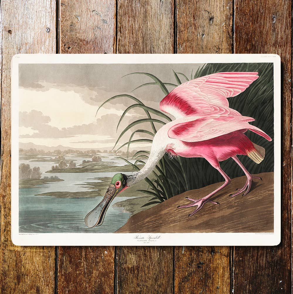 Large Pink Bird Flat Beak Marshlands | Metal Sign Plaque