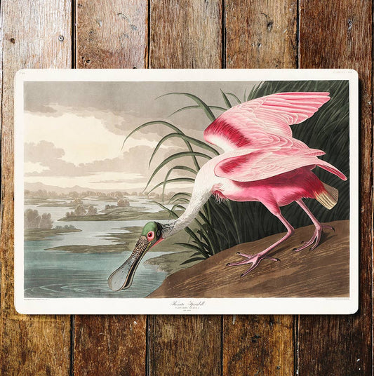 Large Pink Bird Flat Beak Marshlands | Metal Sign Plaque