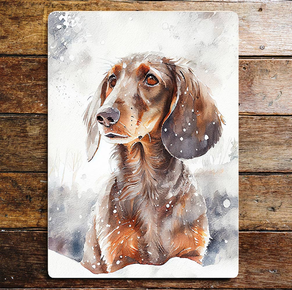 Cute Dachshund In Snow Portrait | Metal Sign Plaque