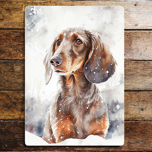 Cute Dachshund In Snow Portrait | Metal Sign Plaque