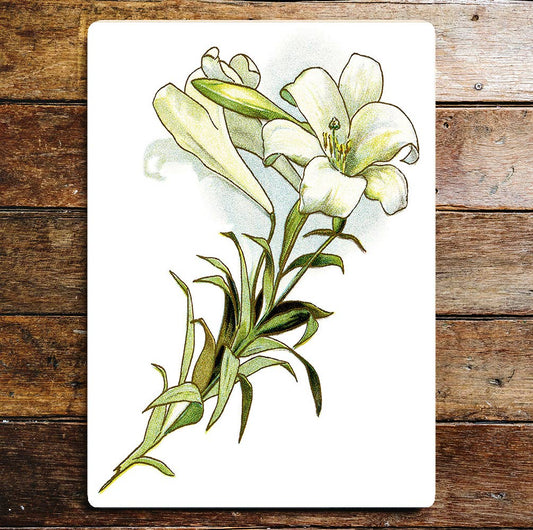 Lily Flower Stem | Metal Wall Sign Plaque