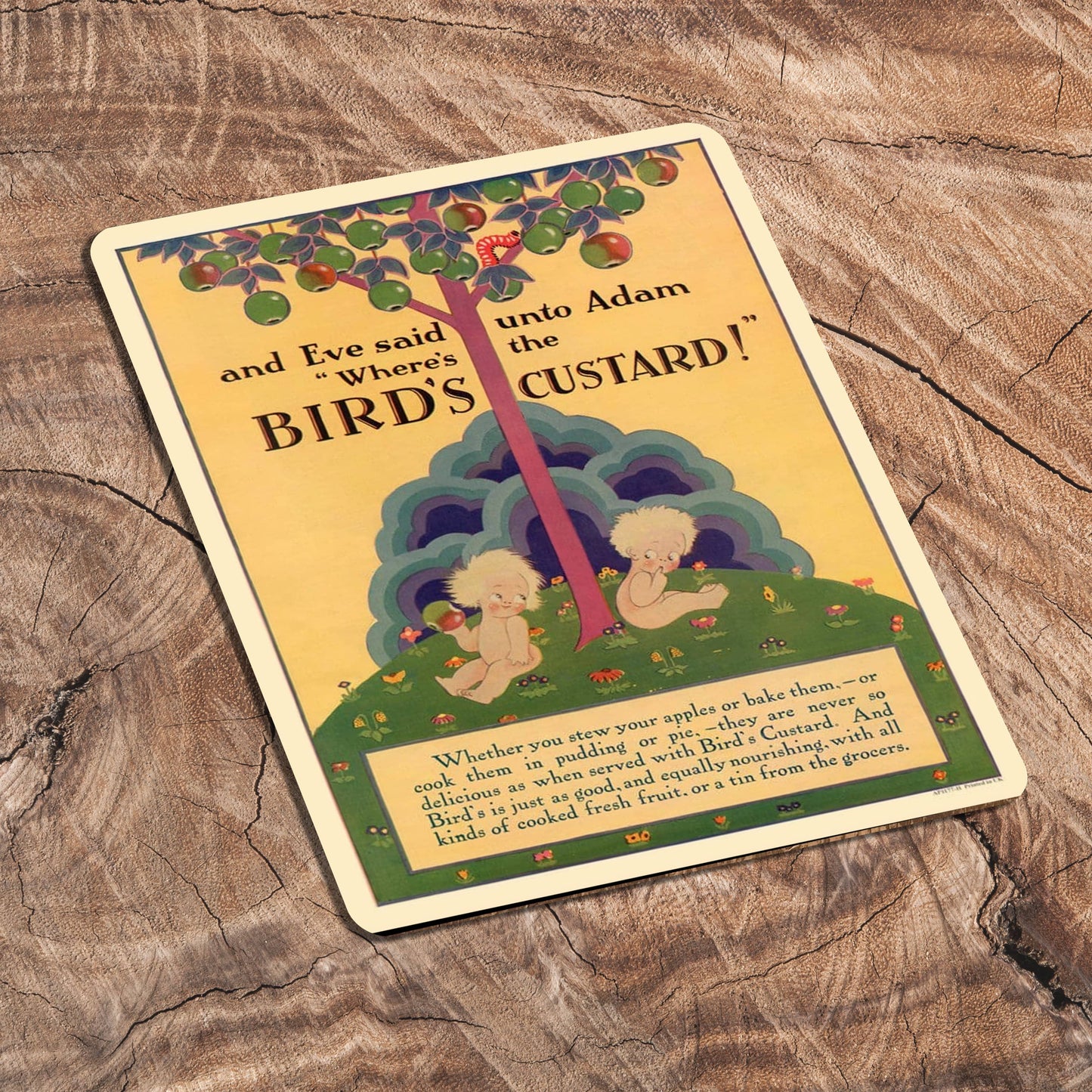 Adam and Eve Birds Custard | Metal Advertising Wall Sign