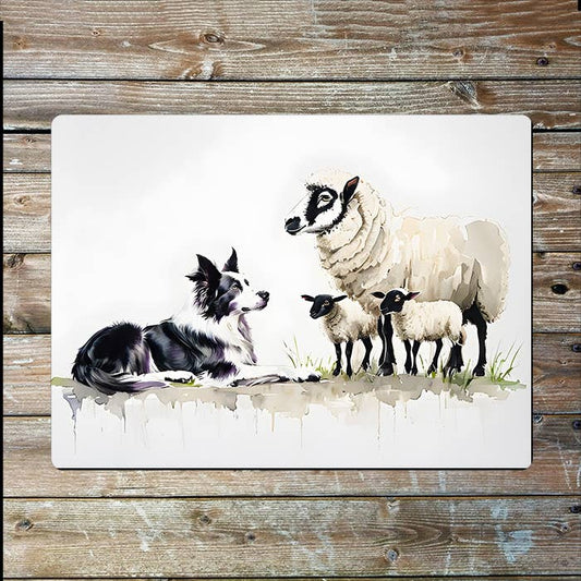 Border Collie Sheep Watercolour Spring | Metal Sign Plaque
