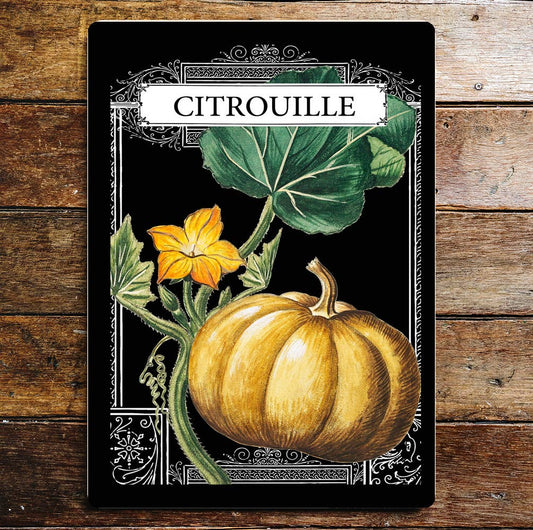 Garden seeds Citrouille Pumpkin Kitchen | Metal Sign