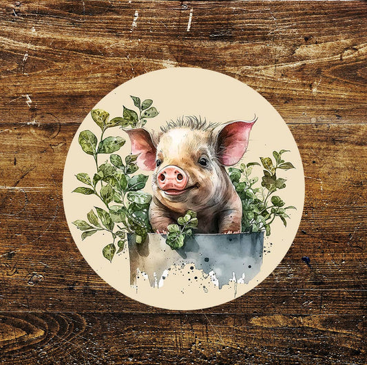 Pig Farmyard Farm Animal Circle Metal Sign