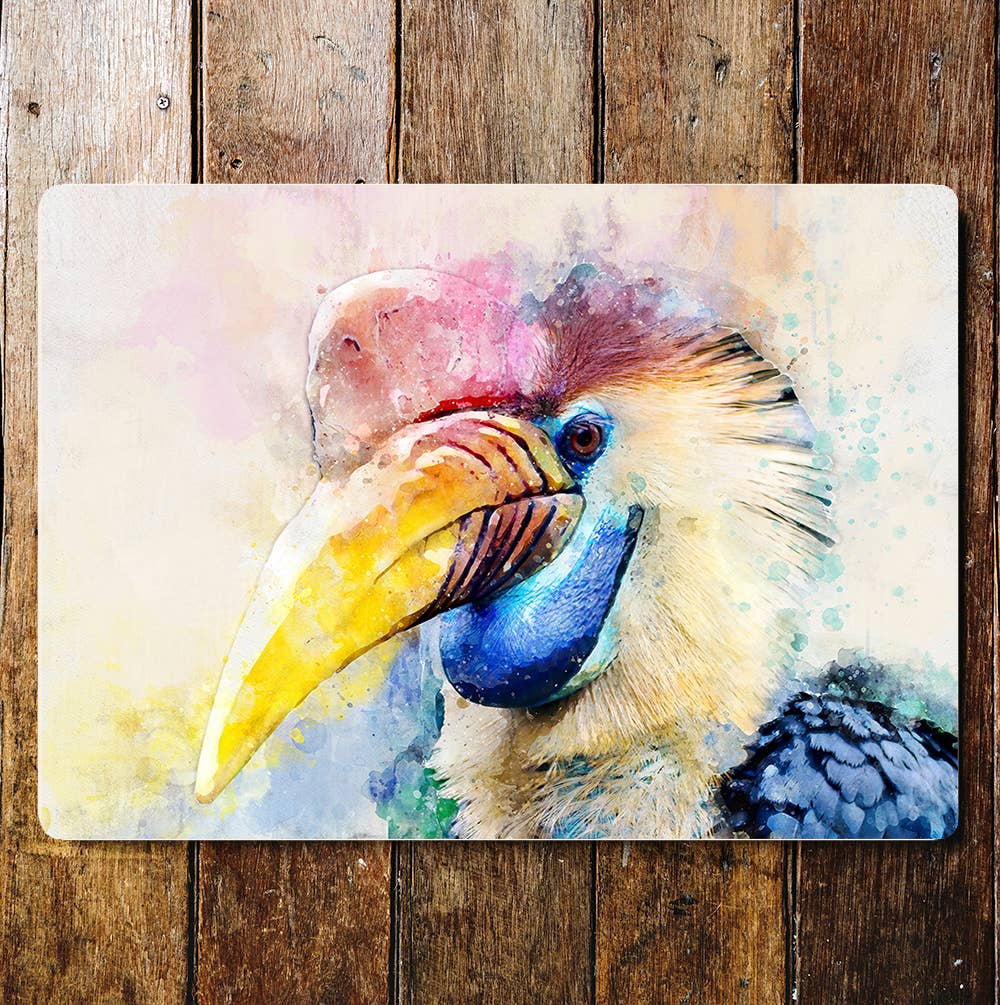 Rainbow Colour Bird Animals Metal Sign Plaque