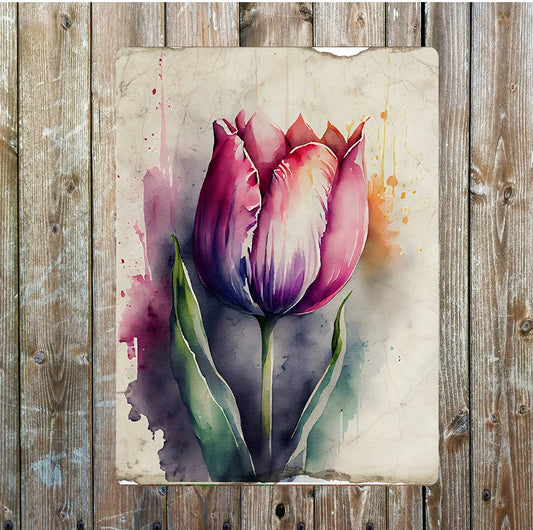 Pink Purple Tulip Flower Portrait Metal Sign Plaque