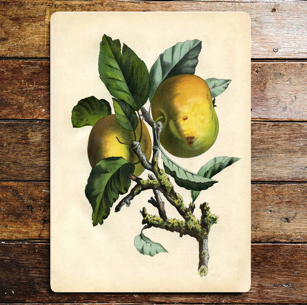 Cooking apple tree wall art | Metal Sign Plaque