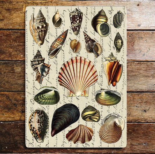 shells Sea Beach Metal Sign Plaque