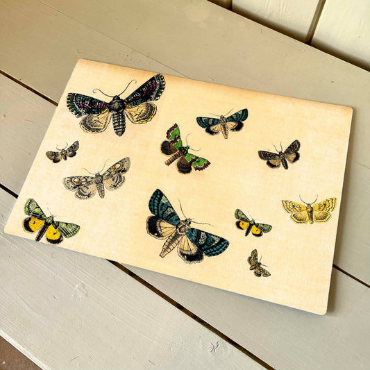 Butterflies Insects Moths | Metal Wall Sign