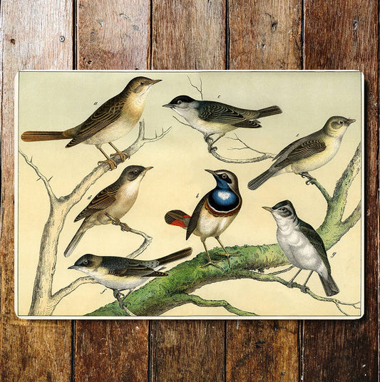 Birds Selection Tree Branch | Metal Wall Sign