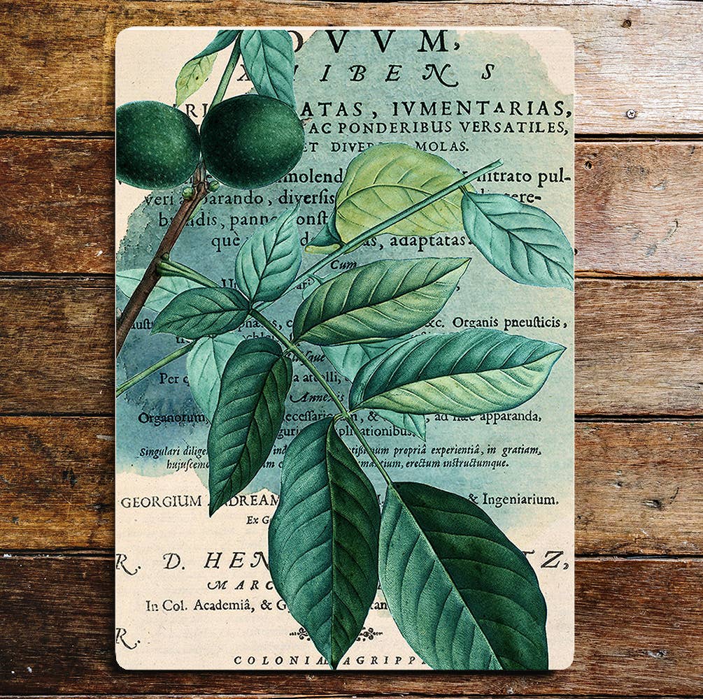 Walnut Twig Tree Autumn Kitchen | Metal Sign Plaque