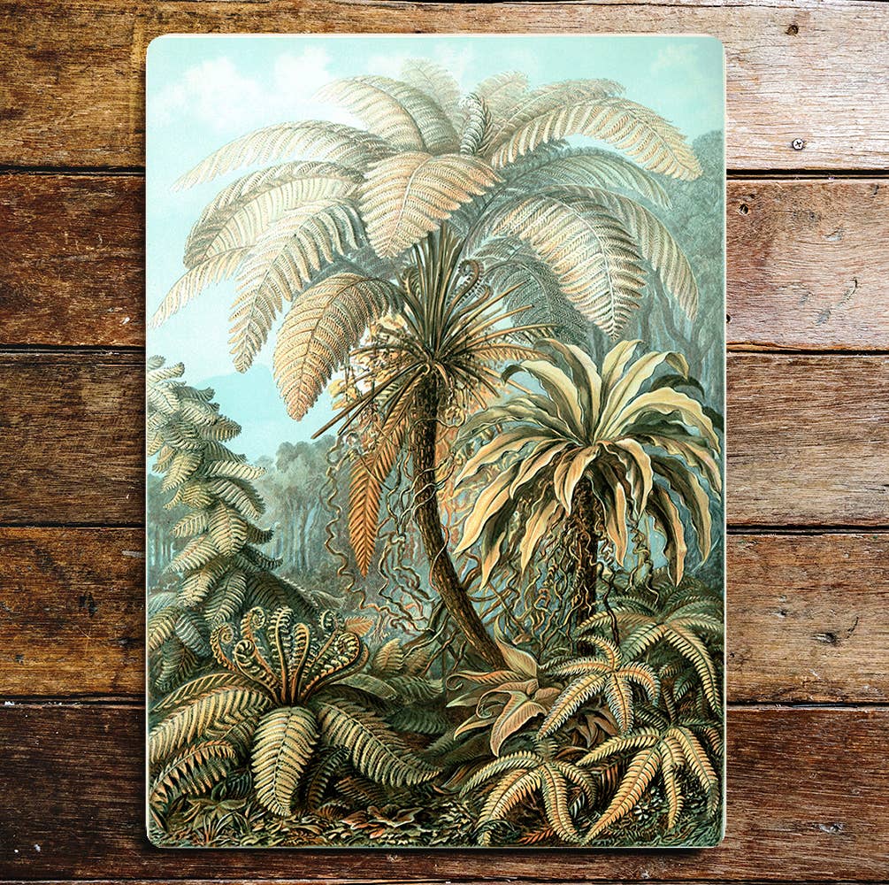 Fern Trees Jungle Plants Green | Metal Sign Plaque