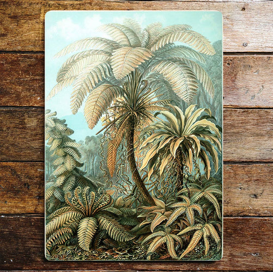 Fern Trees Jungle Plants Green | Metal Sign Plaque