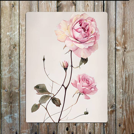 Watercolour Elegant Pink Roses Flower | Metal Sign Plaque