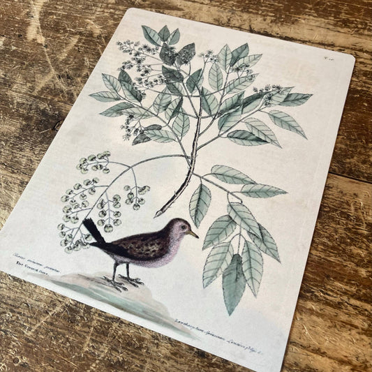 Bird Branch Botanical Insect | Metal Botanical Wall Sign