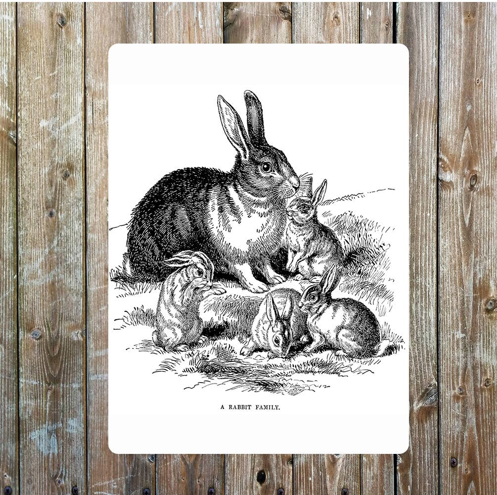 Rabbit and kits art Metal Sign Plaque