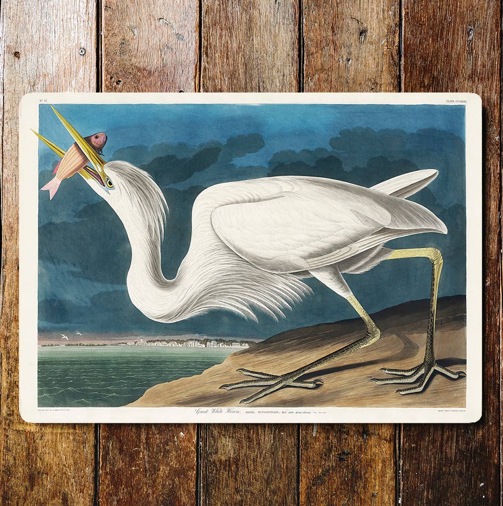 White Heron Fishing For Lunch Pond Life | Metal Sign Plaque