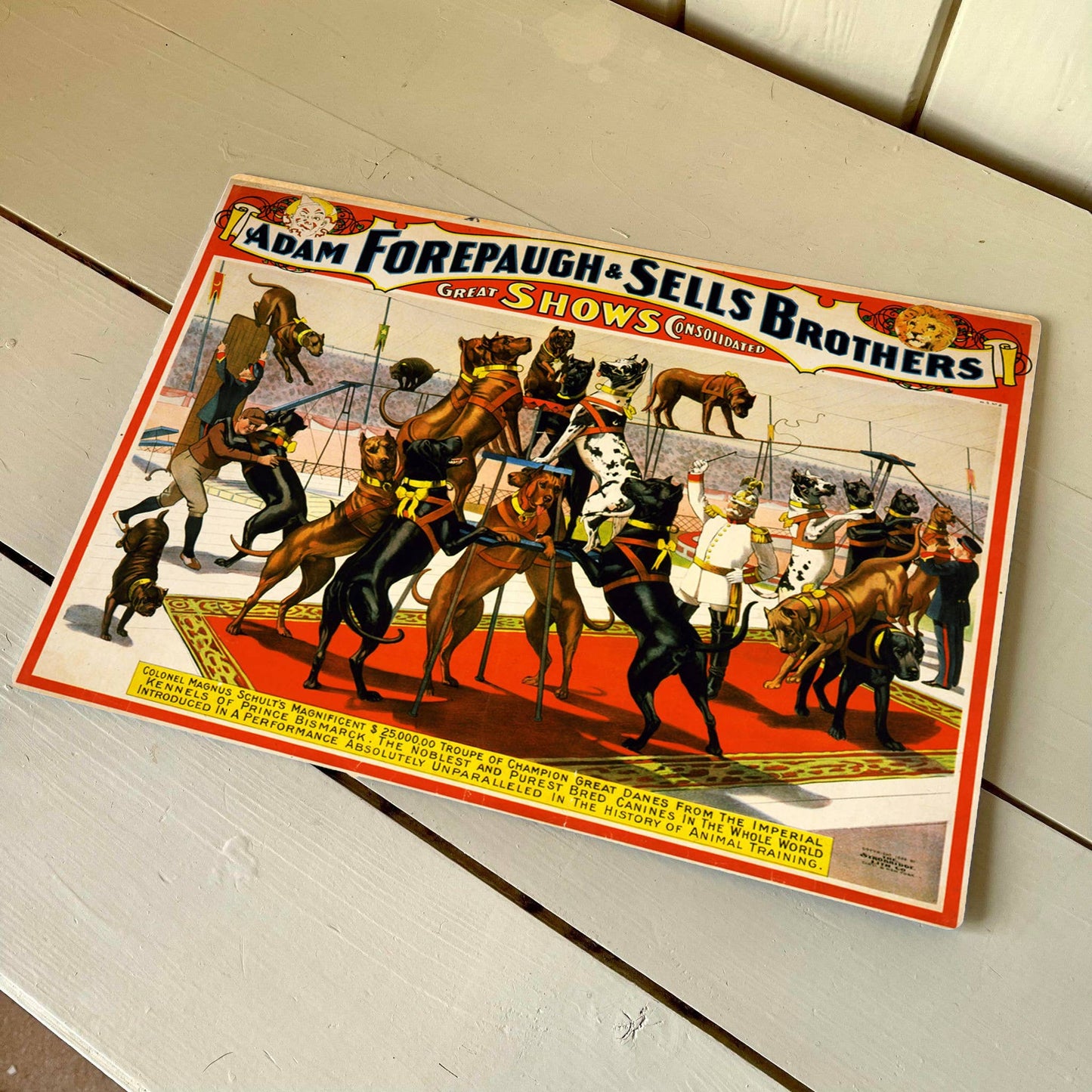 Great Danes Circus | Metal Wall Sign