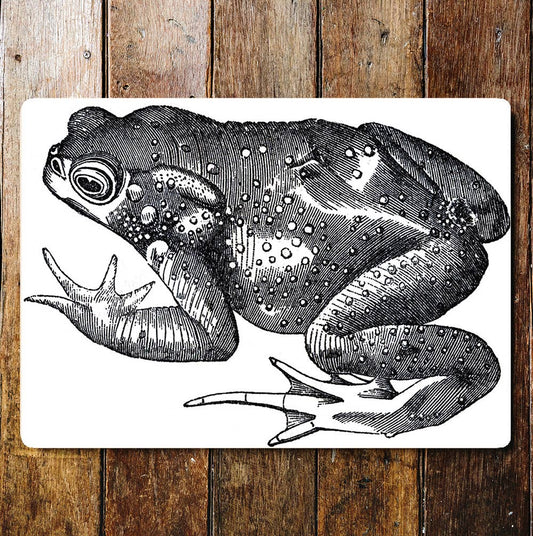 Toad Frog Black And White Metal Wall Sign
