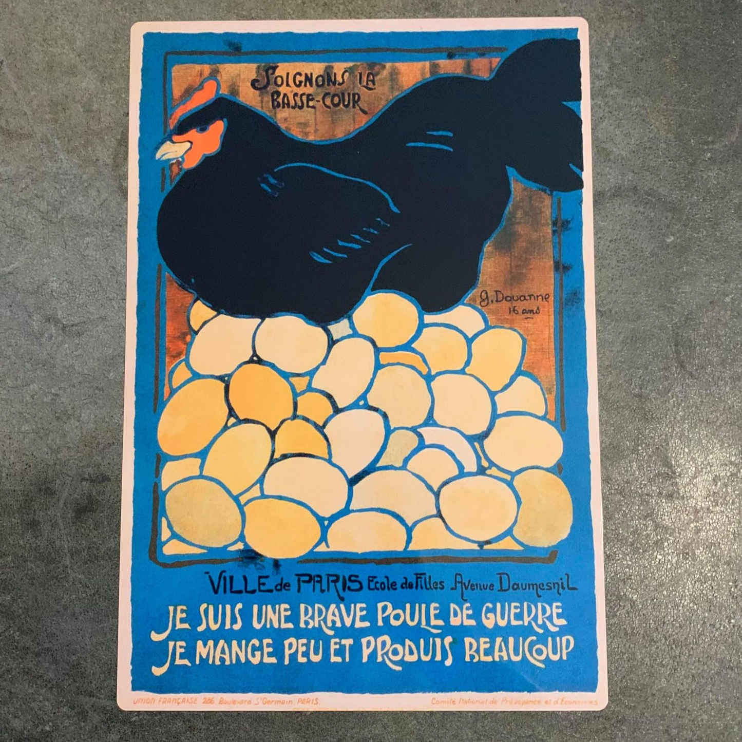 French Hen Chicken World War | Metal Sign