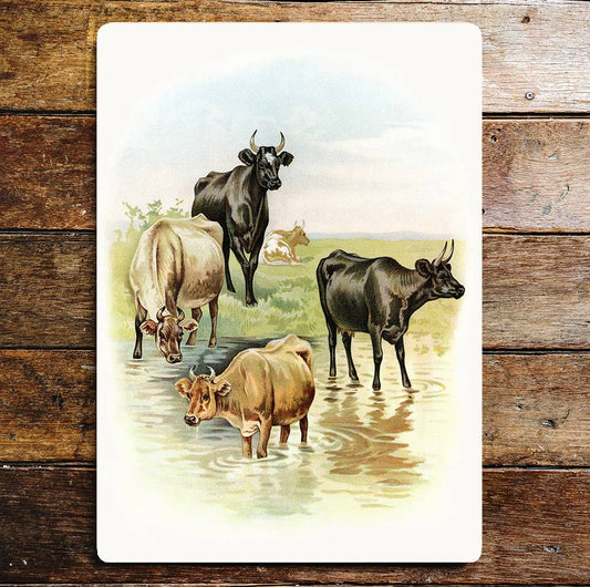 Cows River Fields Sunny Days | Metal Sign Plaque