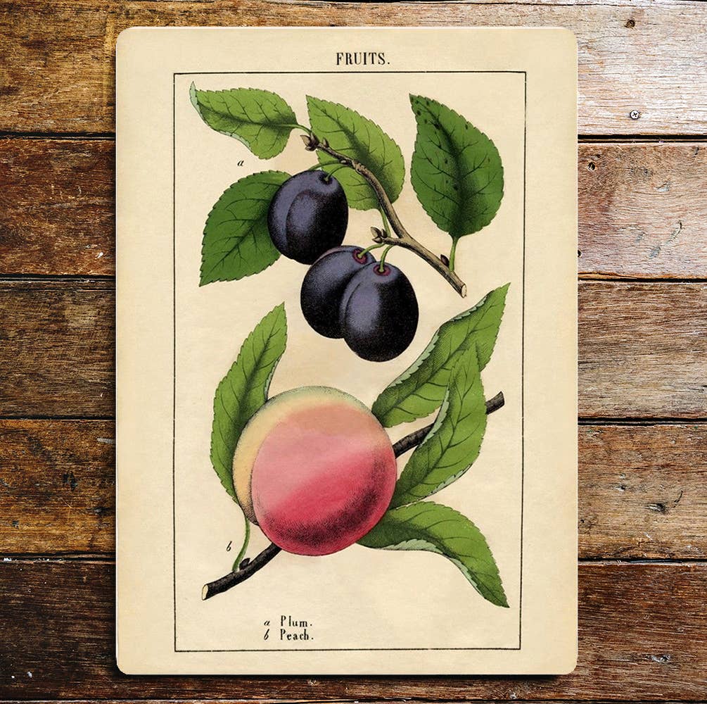 Plums And Peach Fruit Kitchen Metal Sign Plaque