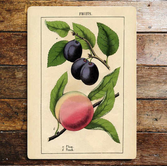 Plums And Peach Fruit Kitchen Metal Sign Plaque
