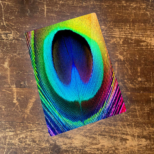 Peacock Feather Bright Bird Metal Animal Wall Sign